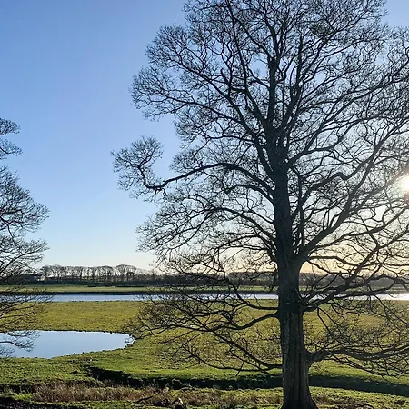Solway Marsh View - Uk1553 *